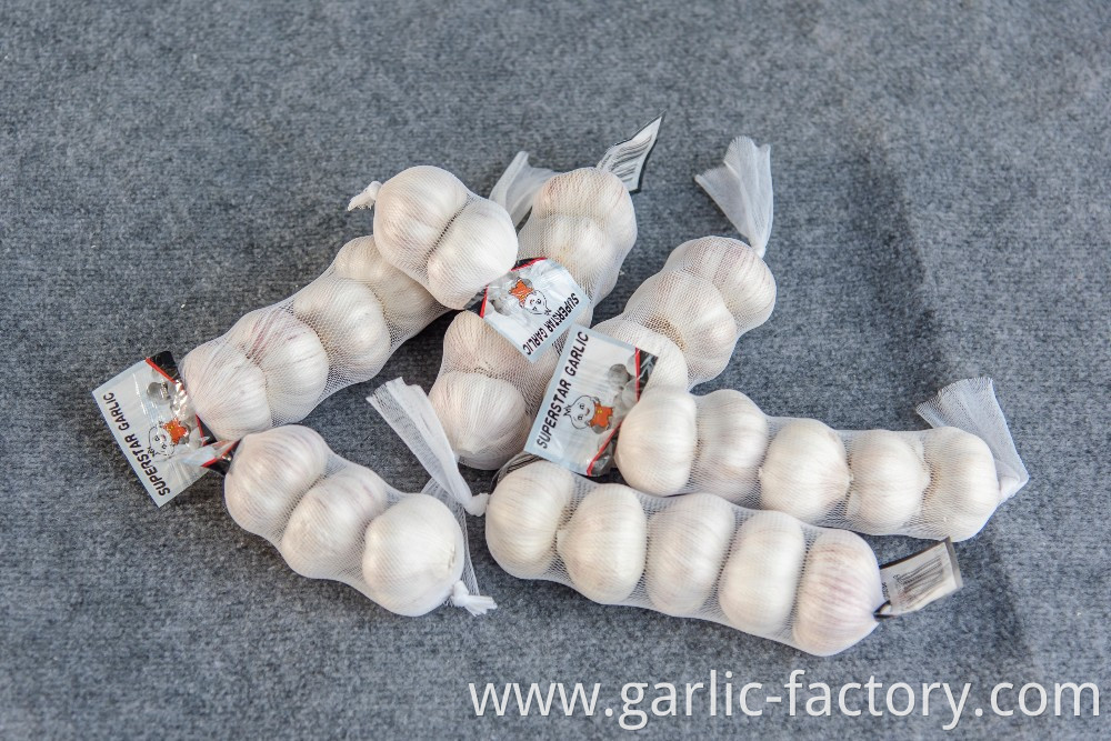 Jinxiang fresh garlic-suply all the year